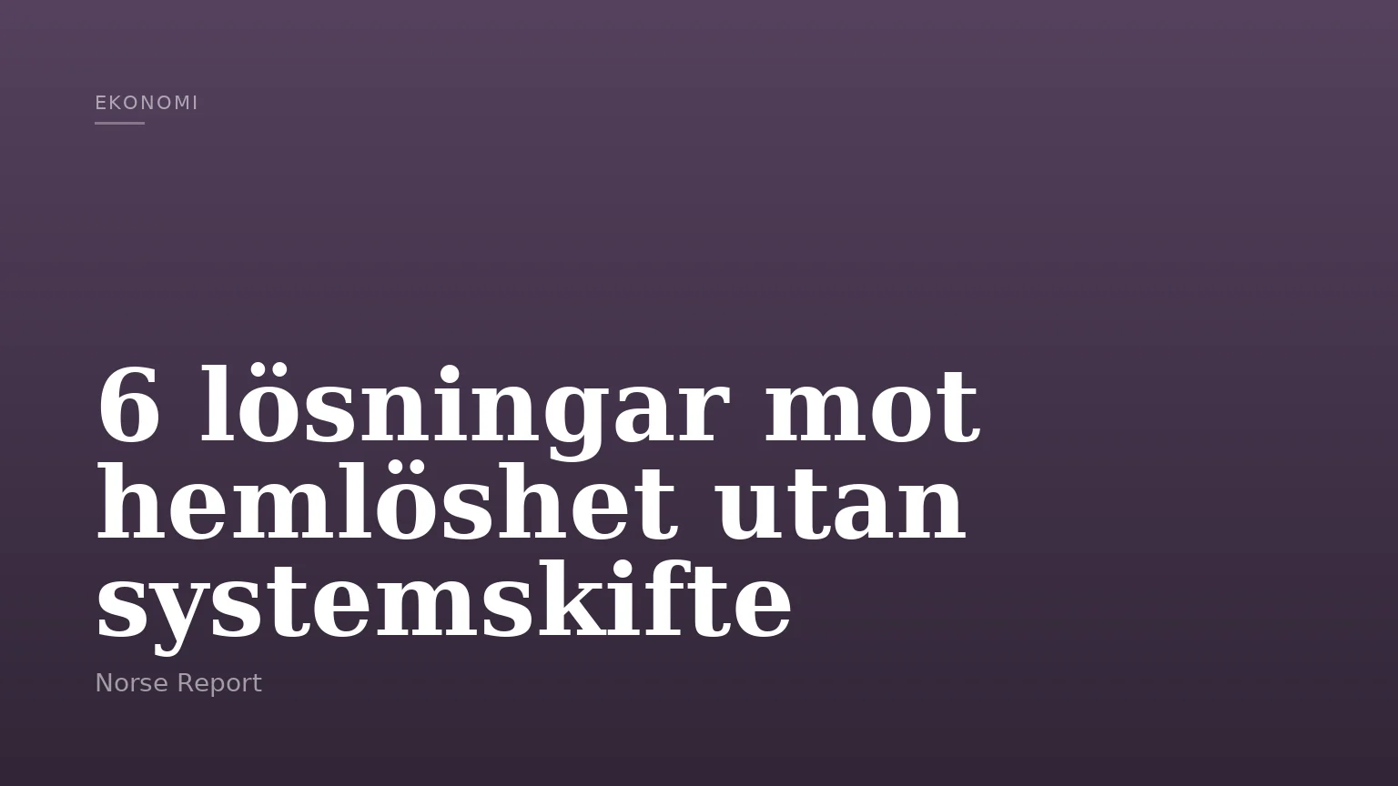 6 lösningar mot hemlöshet utan systemskifte