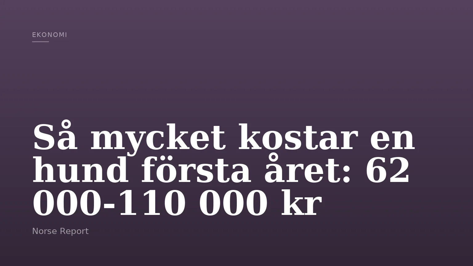 Så mycket kostar en hund första året: 62 000-110 000 kr
