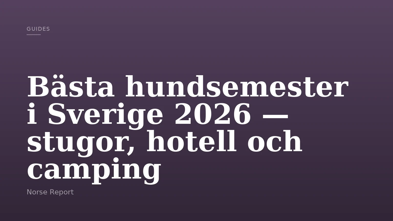 Bästa hundsemester i Sverige 2026 — stugor, hotell och camping