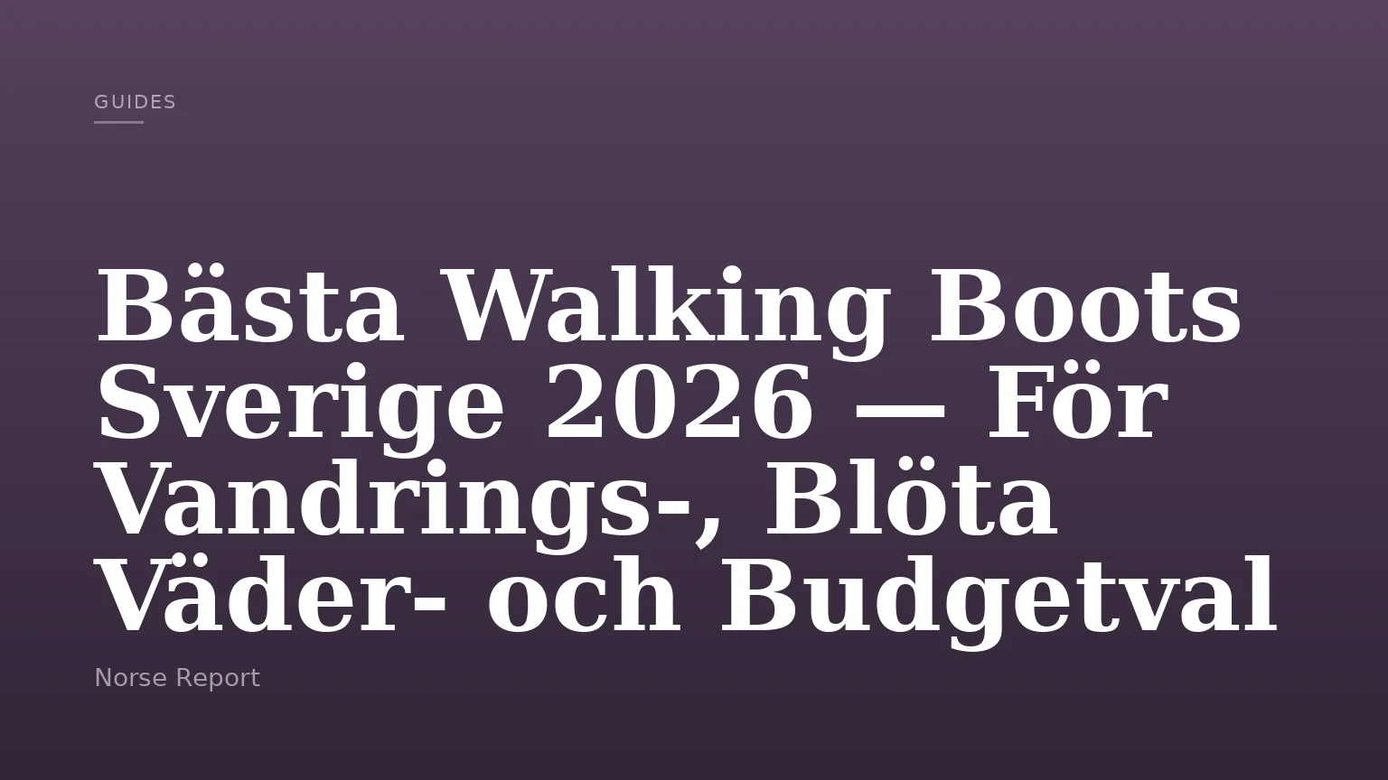 Bästa Walking Boots Sverige 2026 — För Vandrings-, Blöta Väder- och Budgetval