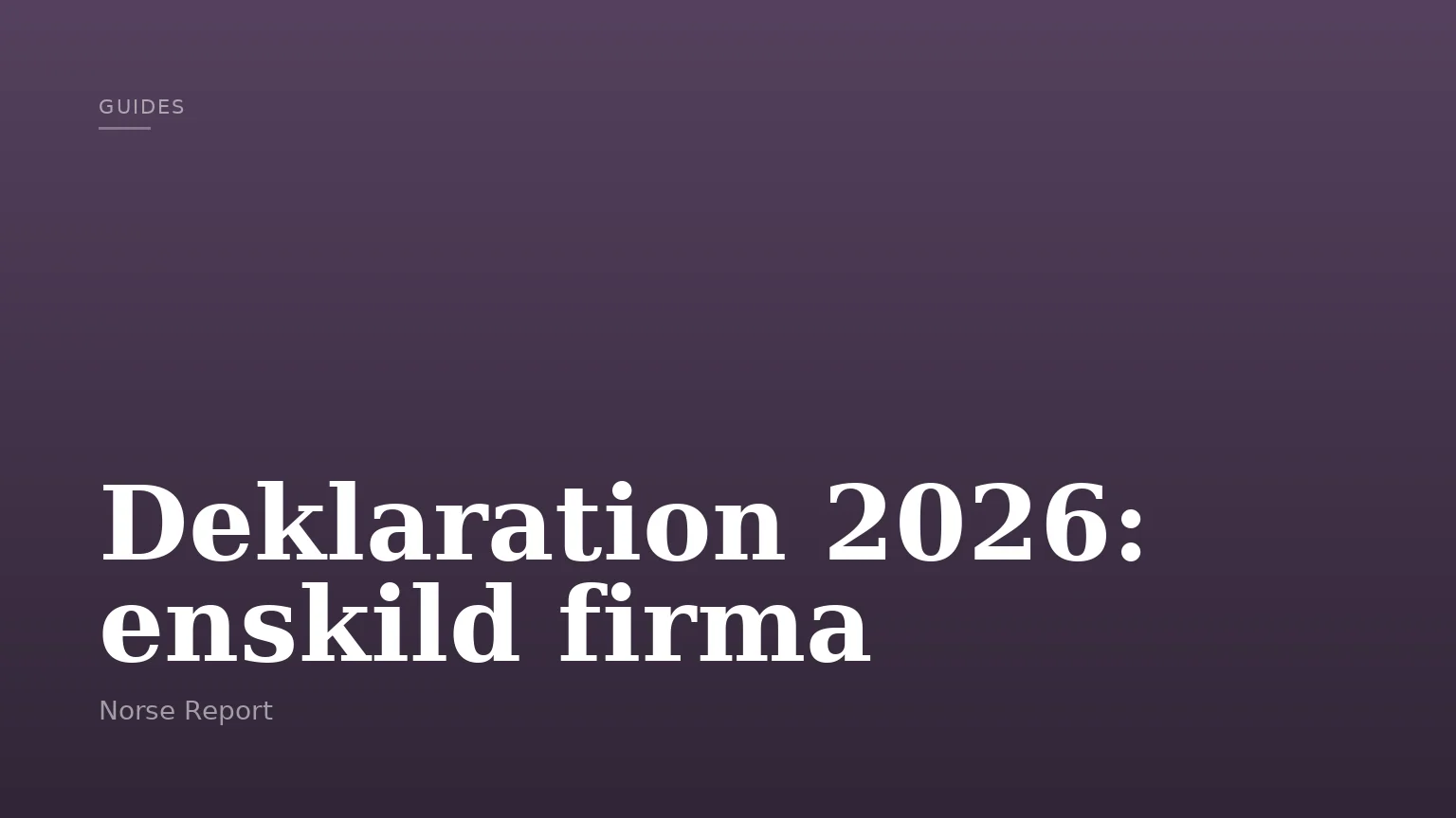 Deklaration 2026: enskild firma