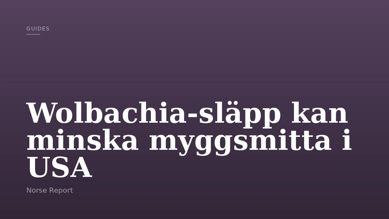 Wolbachia-släpp kan minska myggsmitta i USA