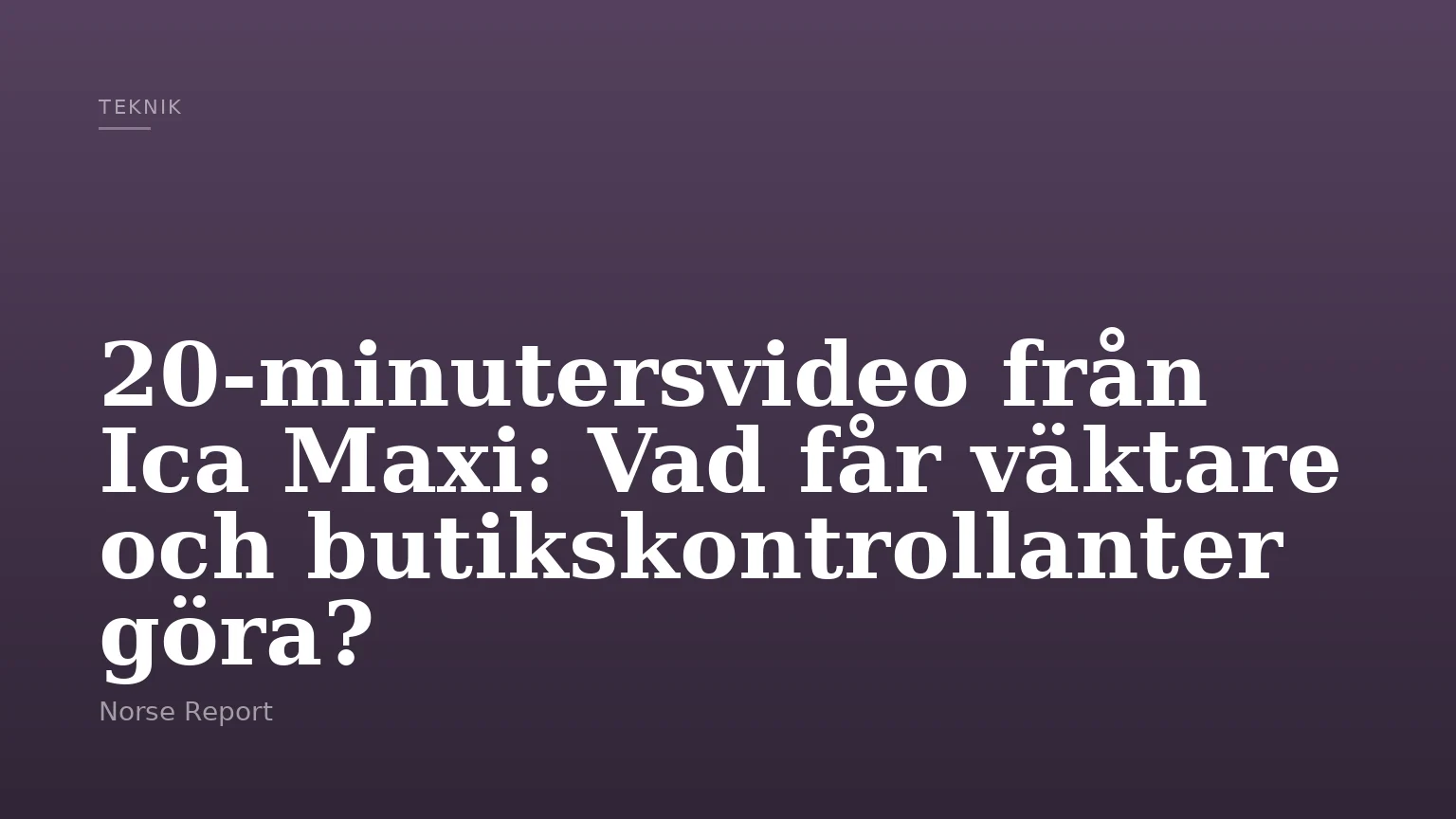 20‑minutersvideo från Ica Maxi: Vad får väktare och butikskontrollanter göra?