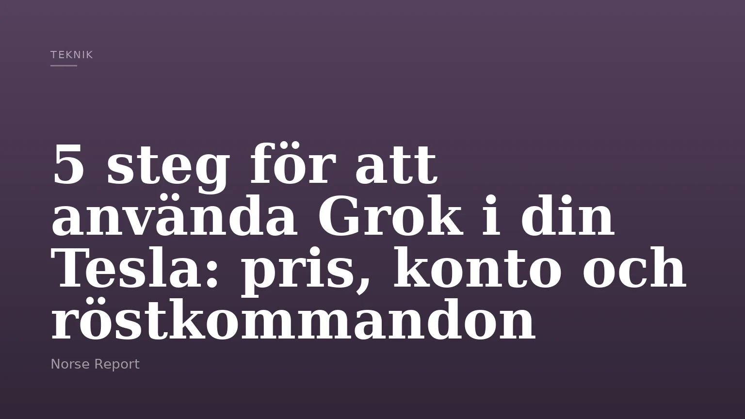 5 steg för att använda Grok i din Tesla: pris, konto och röstkommandon