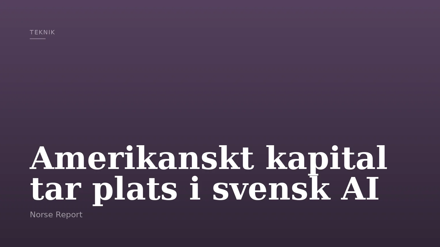 Amerikanskt kapital tar plats i svensk AI