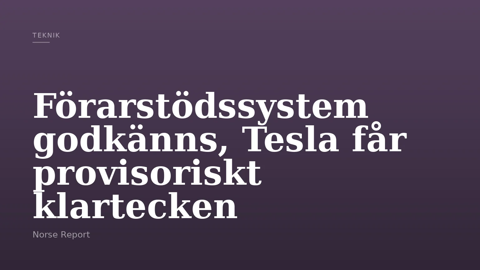 Förarstödssystem godkänns, Tesla får provisoriskt klartecken