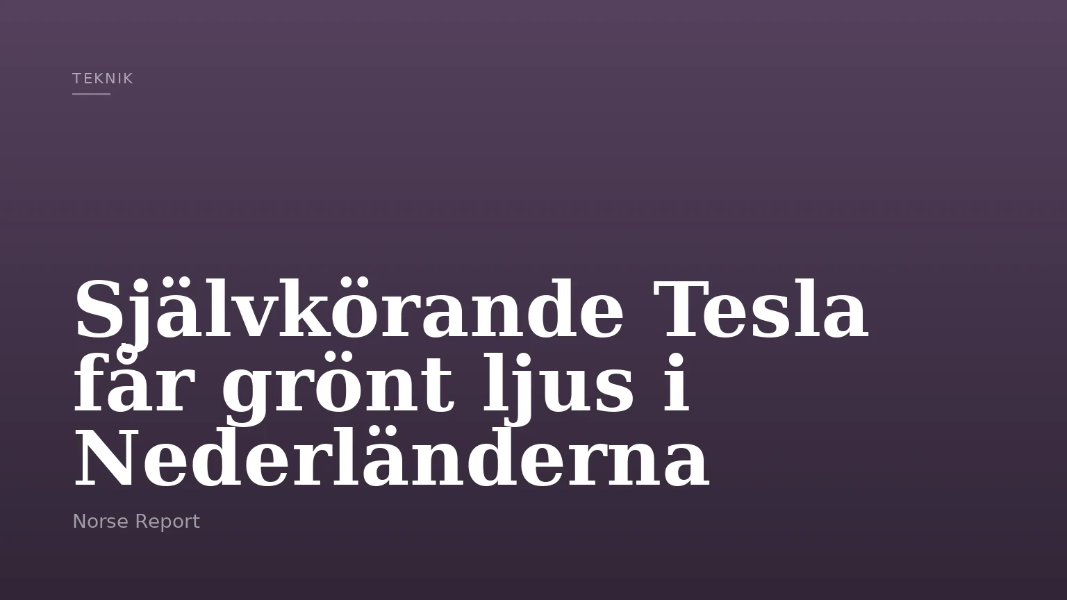 Självkörande Tesla får grönt ljus i Nederländerna