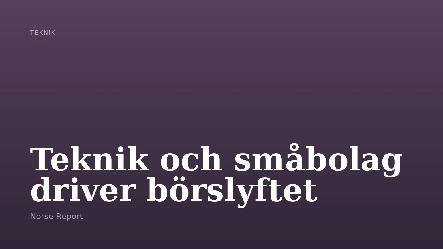 Teknik och småbolag driver börslyftet