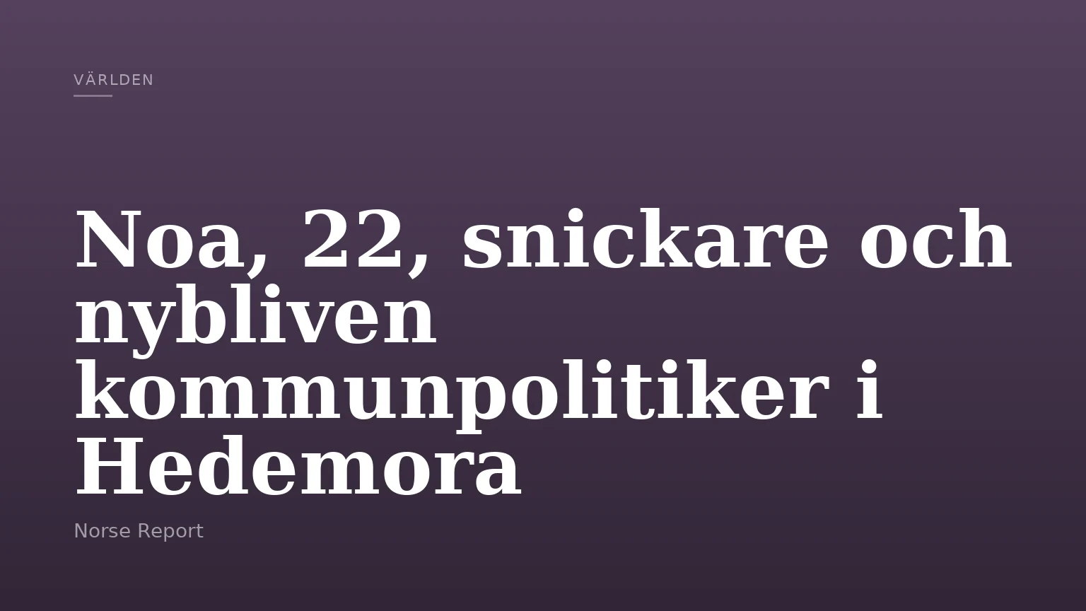 Noa, 22, snickare och nybliven kommunpolitiker i Hedemora